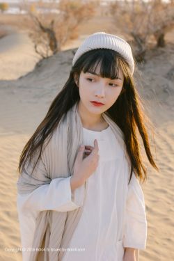 豺狼计划